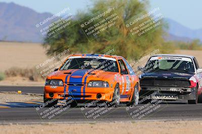 media/Oct-15-2023-Lucky Dog Racing Chuckwalla (Sun) [[f659570f60]]/4th Stint Turn 4 Tree of Life/